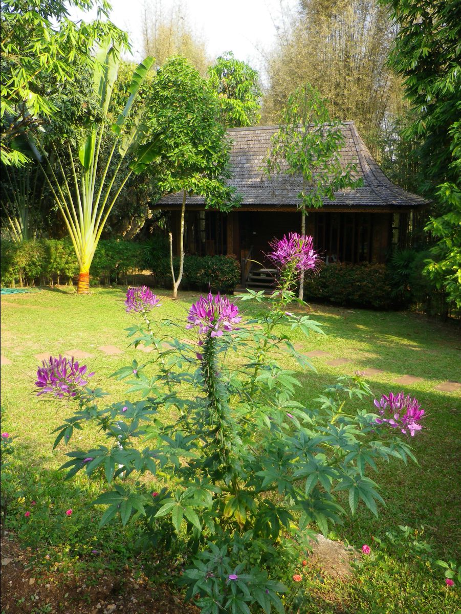 201302 Chiang Mai65